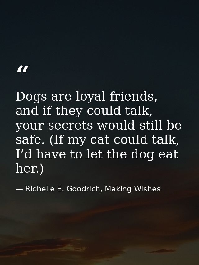Dogs are loyal friends, and if they could talk, your secrets would still be safe. (If my cat could talk, I’d have to let — Richelle E. Goodrich, Making Wishes