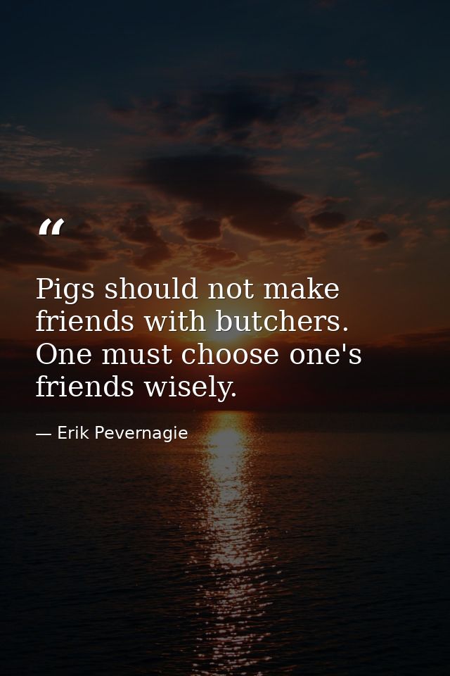 Pigs should not make friends with butchers. One must choose one's friends wisely. — Erik Pevernagie