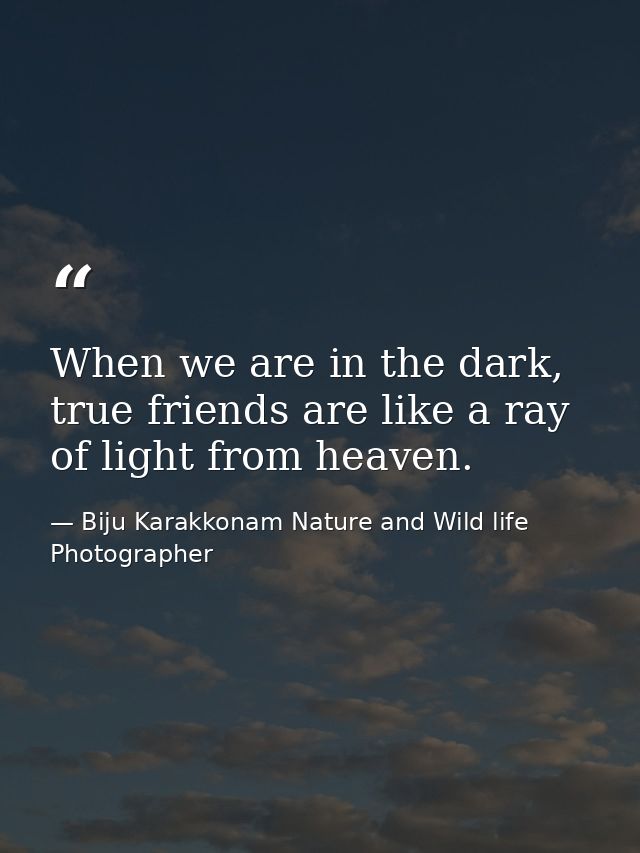 When we are in the dark, true friends are like a ray of light from heaven. — Biju Karakkonam Nature and Wild life Photographer
