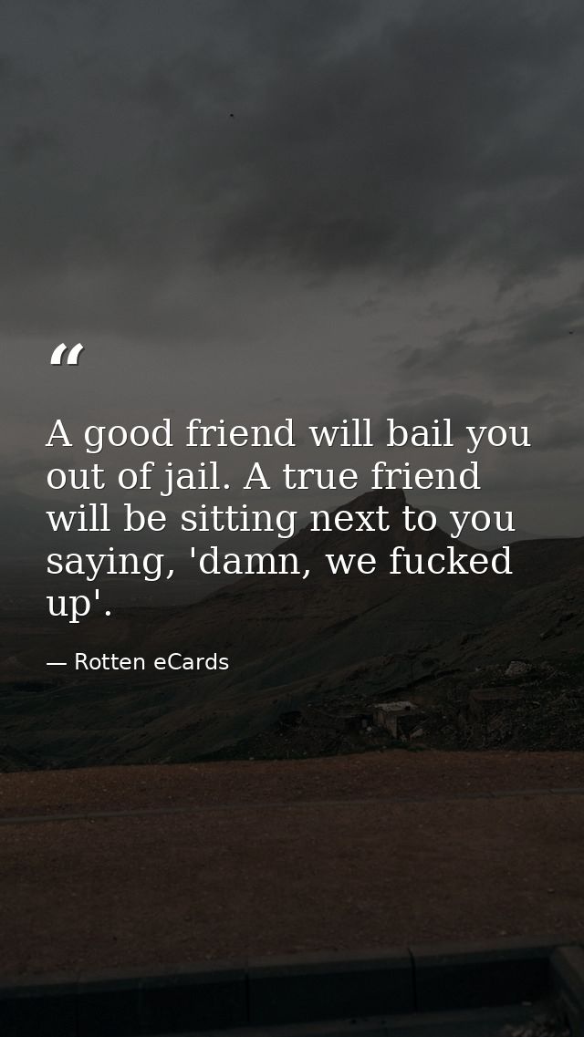 A good friend will bail you out of jail. A true friend will be sitting next to you saying, 'damn, we fucked up'. — Rotten eCards