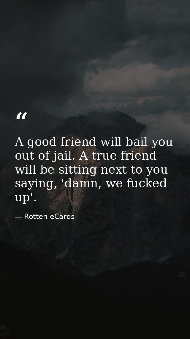A good friend will bail you out of jail. A true friend will be sitting next to you saying, 'damn, we fucked up'. — Rotten eCards