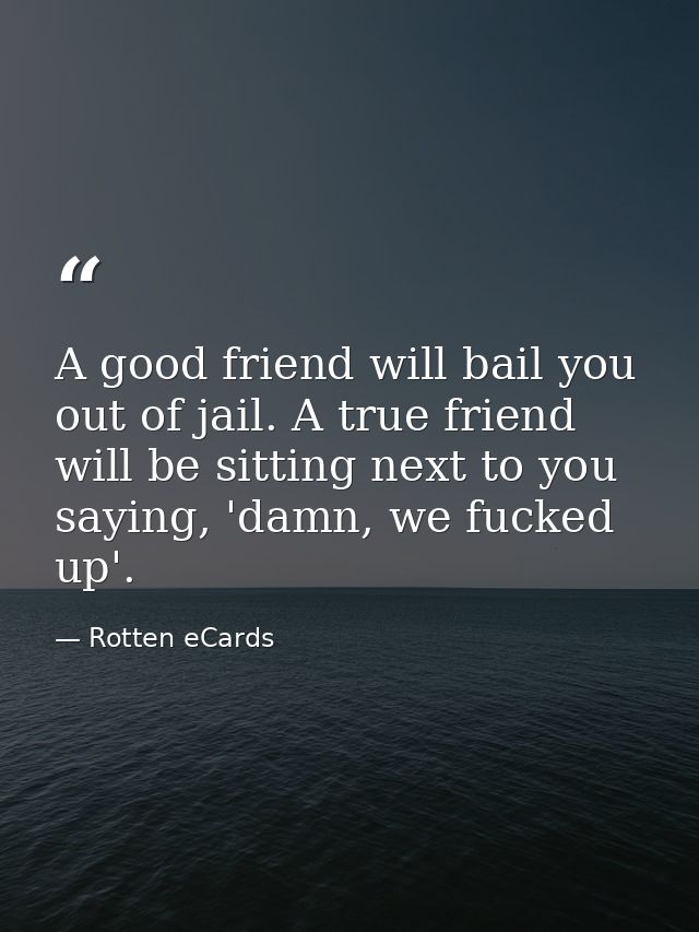 A good friend will bail you out of jail. A true friend will be sitting next to you saying, 'damn, we fucked up'. — Rotten eCards