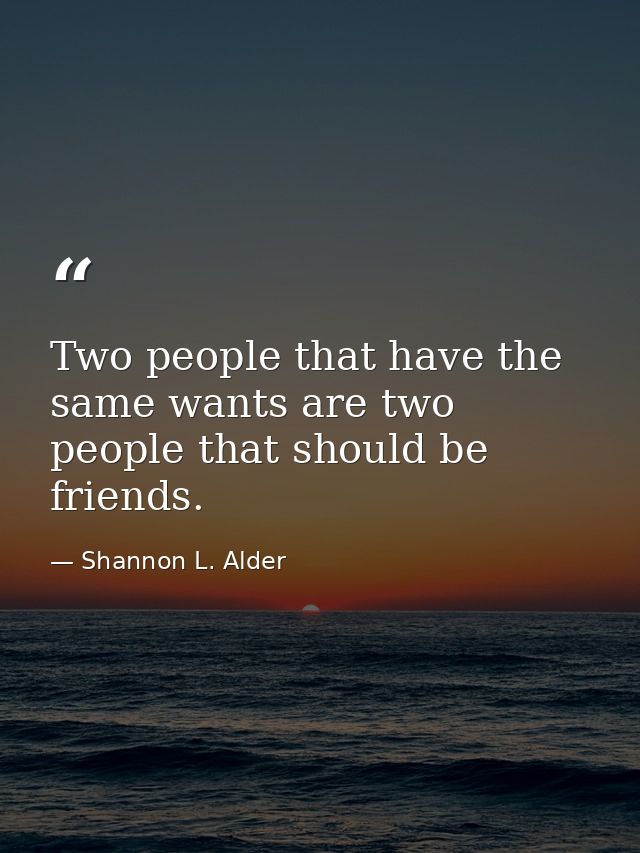 Two people that have the same wants are two people that should be friends. — Shannon L. Alder