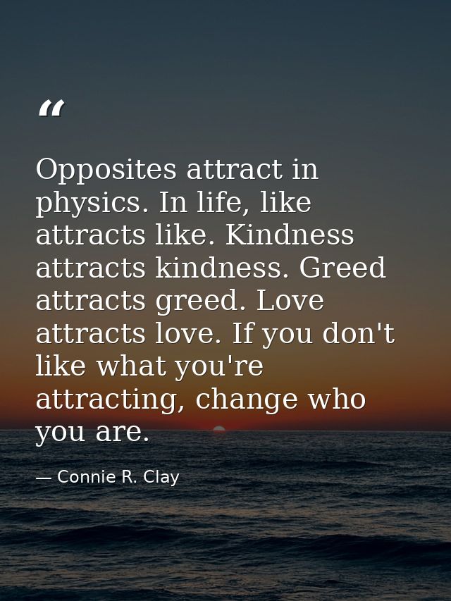 Opposites attract in physics. In life, like attracts like. Kindness attracts kindness. Greed attracts greed. Love attrac — Connie R. Clay