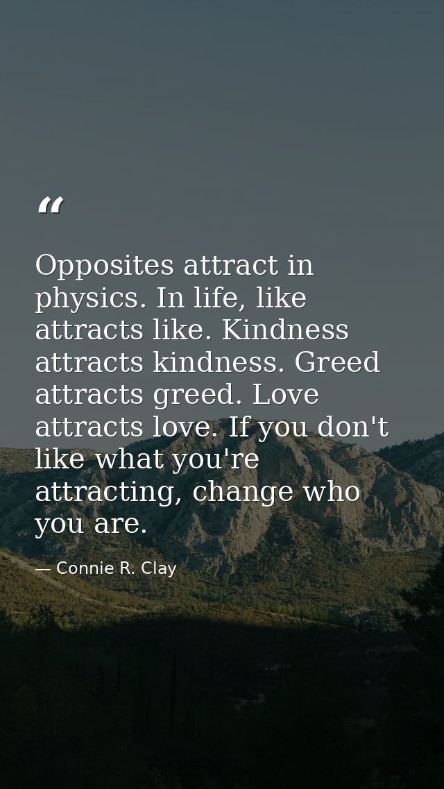 Opposites attract in physics. In life, like attracts like. Kindness attracts kindness. Greed attracts greed. Love attrac — Connie R. Clay