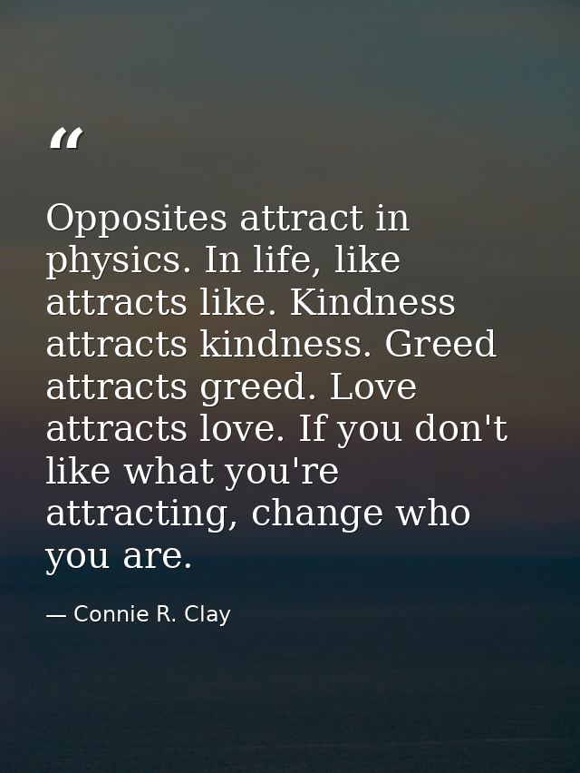 Opposites attract in physics. In life, like attracts like. Kindness attracts kindness. Greed attracts greed. Love attrac — Connie R. Clay