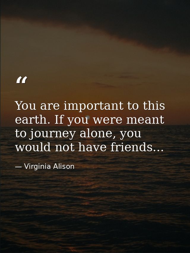 You are important to this earth. If you were meant to journey alone, you would not have friends... — Virginia Alison
