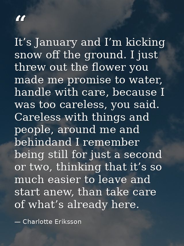 It’s January and I’m kicking snow off the ground. I just threw out the flower you made me promise to water, handle with  — Charlotte Eriksson