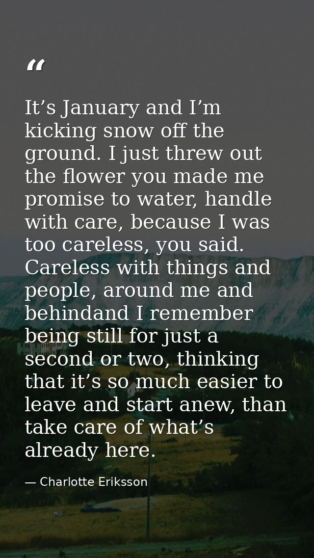 It’s January and I’m kicking snow off the ground. I just threw out the flower you made me promise to water, handle with  — Charlotte Eriksson