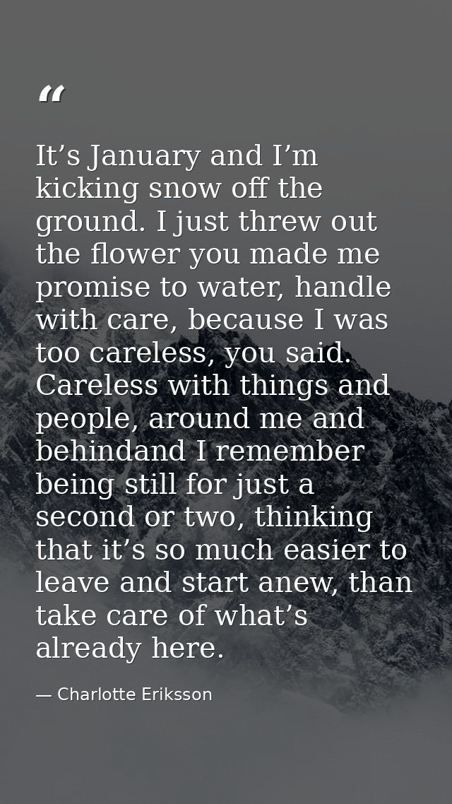 It’s January and I’m kicking snow off the ground. I just threw out the flower you made me promise to water, handle with  — Charlotte Eriksson