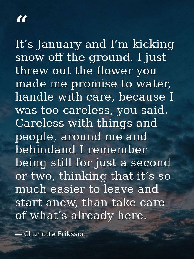 It’s January and I’m kicking snow off the ground. I just threw out the flower you made me promise to water, handle with  — Charlotte Eriksson