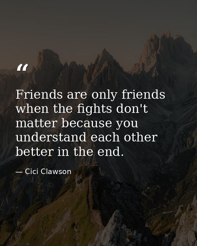 Friends are only friends when the fights don't matter because you understand each other better in the end. — Cici Clawson