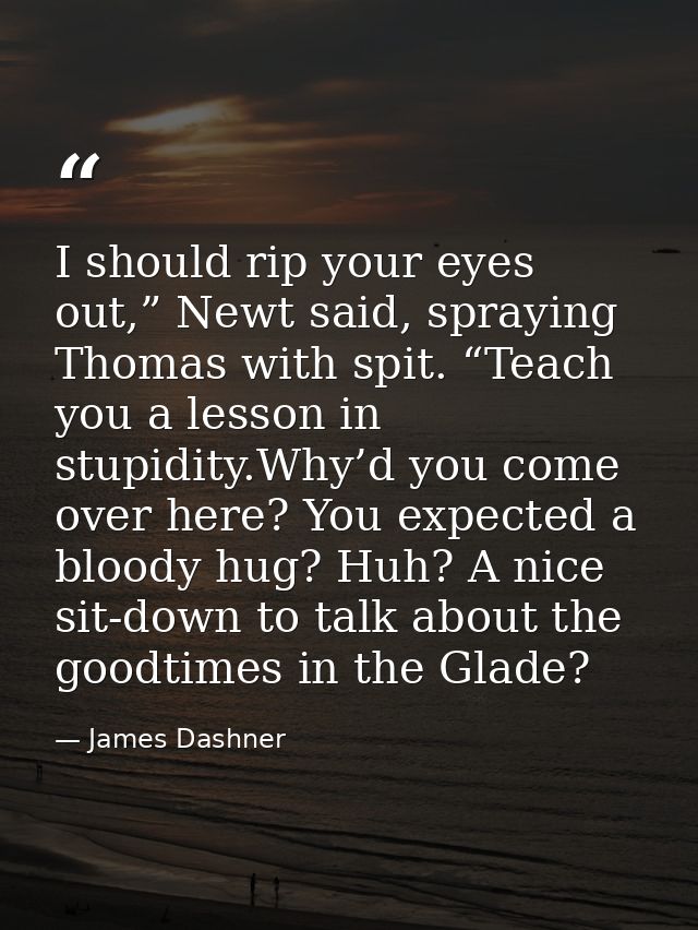 I should rip your eyes out,” Newt said, spraying Thomas with spit. “Teach you a lesson in stupidity.Why’d you come over  — James Dashner