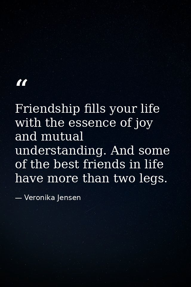 Friendship fills your life with the essence of joy and mutual understanding. And some of the best friends in life have m — Veronika Jensen