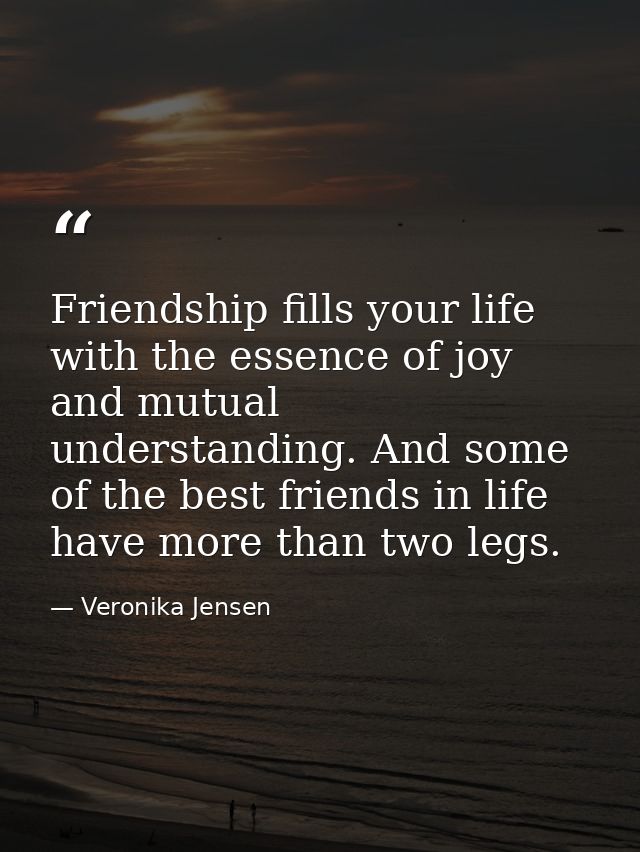 Friendship fills your life with the essence of joy and mutual understanding. And some of the best friends in life have m — Veronika Jensen