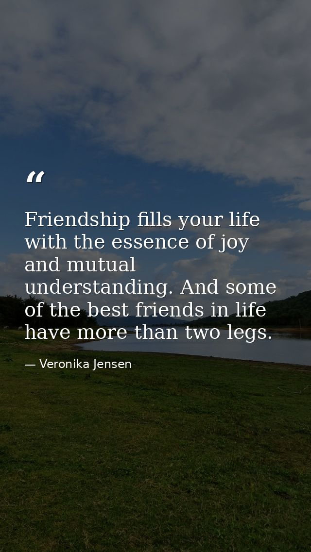 Friendship fills your life with the essence of joy and mutual understanding. And some of the best friends in life have m — Veronika Jensen