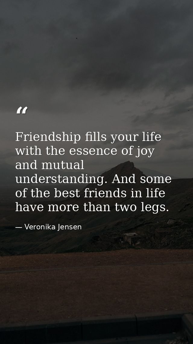 Friendship fills your life with the essence of joy and mutual understanding. And some of the best friends in life have m — Veronika Jensen
