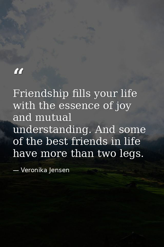 Friendship fills your life with the essence of joy and mutual understanding. And some of the best friends in life have m — Veronika Jensen