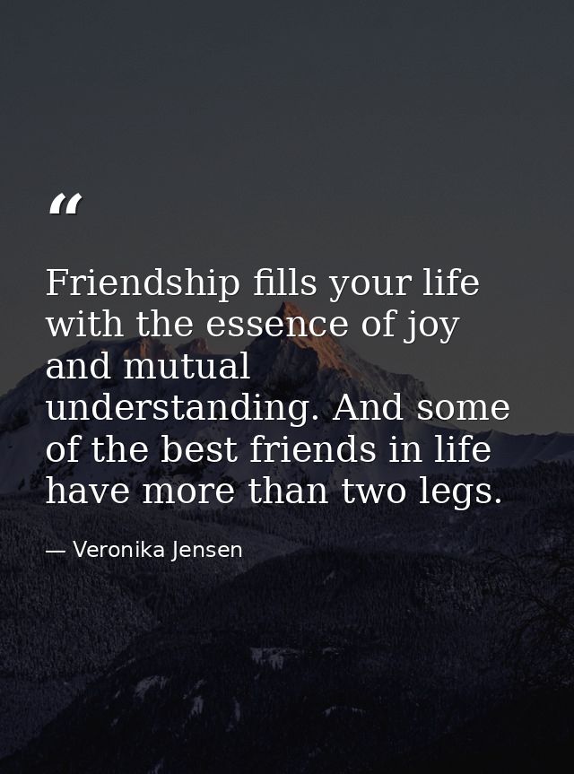 Friendship fills your life with the essence of joy and mutual understanding. And some of the best friends in life have m — Veronika Jensen