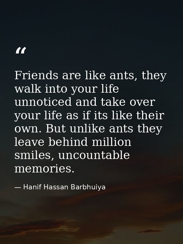 Friends are like ants, they walk into your life unnoticed and take over your life as if its like their own. But unlike a — Hanif Hassan Barbhuiya