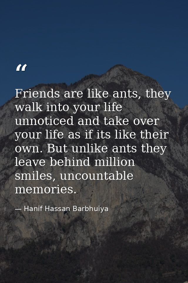 Friends are like ants, they walk into your life unnoticed and take over your life as if its like their own. But unlike a — Hanif Hassan Barbhuiya