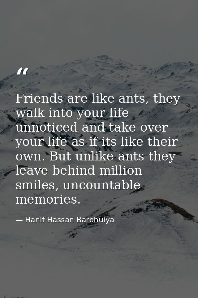 Friends are like ants, they walk into your life unnoticed and take over your life as if its like their own. But unlike a — Hanif Hassan Barbhuiya