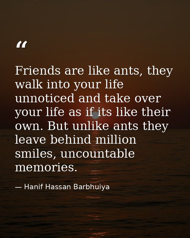 Friends are like ants, they walk into your life unnoticed and take over your life as if its like their own. But unlike a — Hanif Hassan Barbhuiya