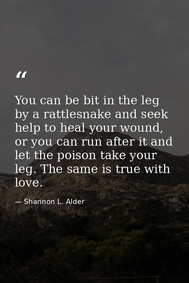 You can be bit in the leg by a rattlesnake and seek help to heal your wound, or you can run after it and let the poison  — Shannon L. Alder