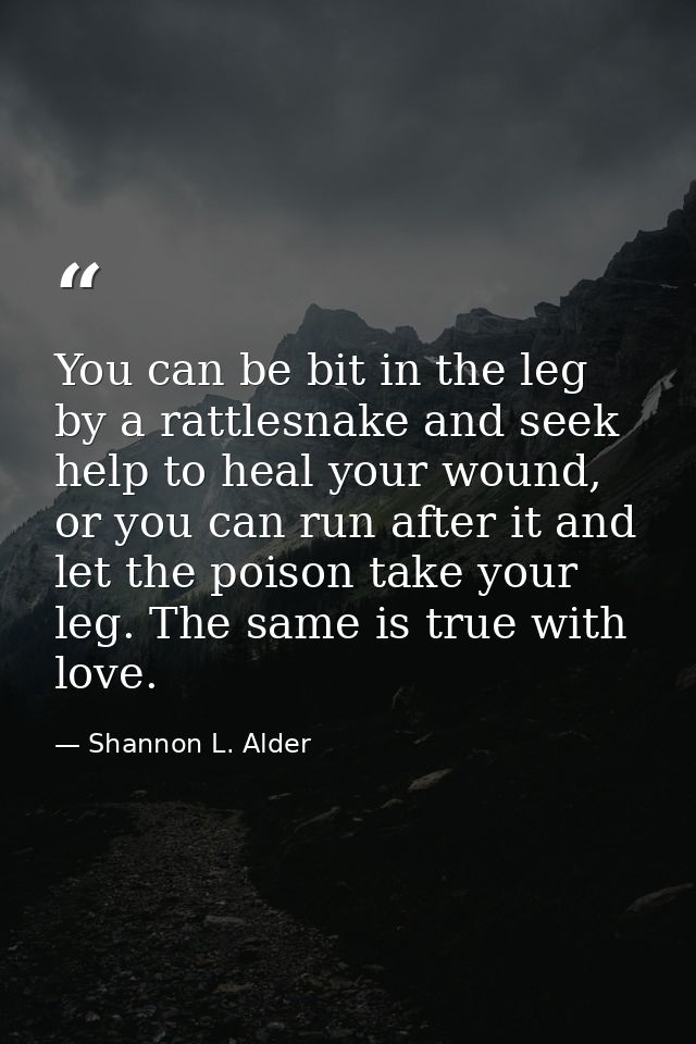 You can be bit in the leg by a rattlesnake and seek help to heal your wound, or you can run after it and let the poison  — Shannon L. Alder