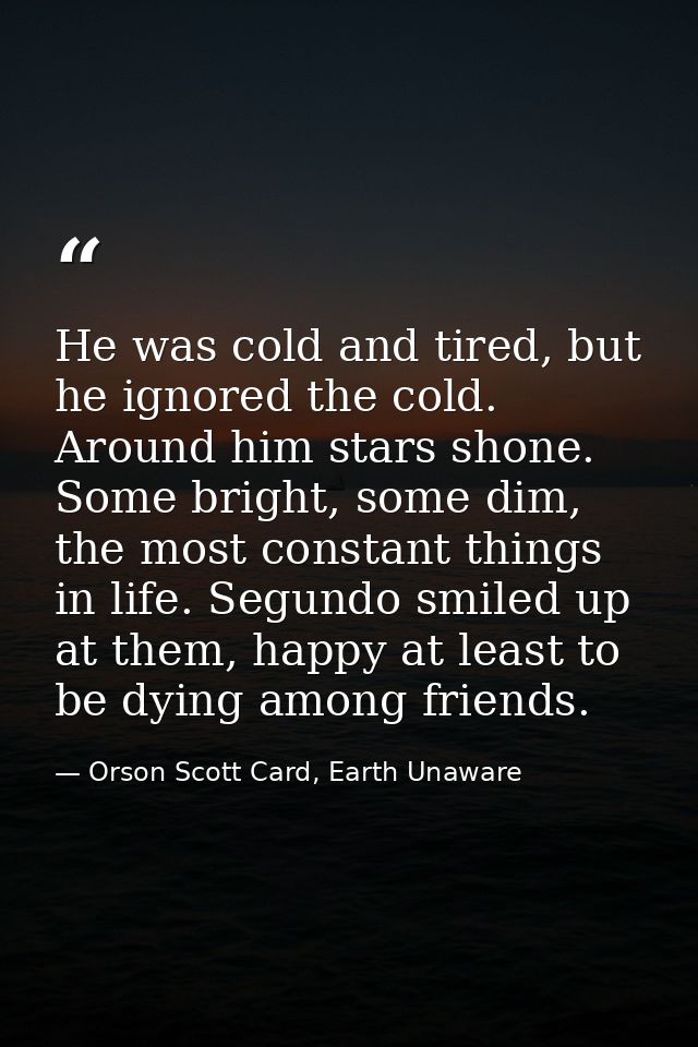 He was cold and tired, but he ignored the cold. Around him stars shone. Some bright, some dim, the most constant things  — Orson Scott Card, Earth Unaware