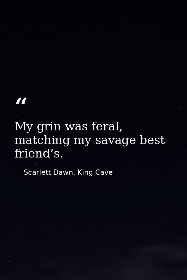 My grin was feral, matching my savage best friend’s. — Scarlett Dawn, King Cave