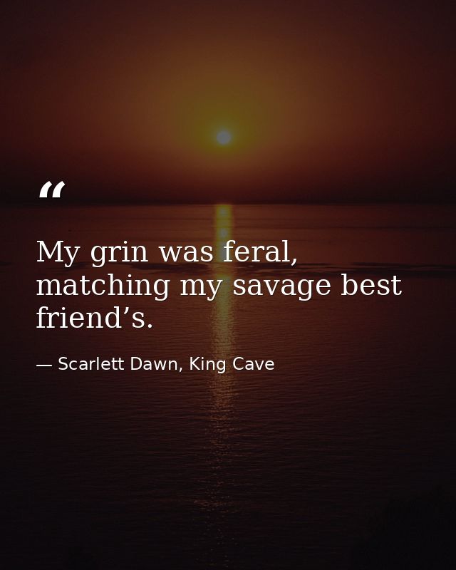 My grin was feral, matching my savage best friend’s. — Scarlett Dawn, King Cave
