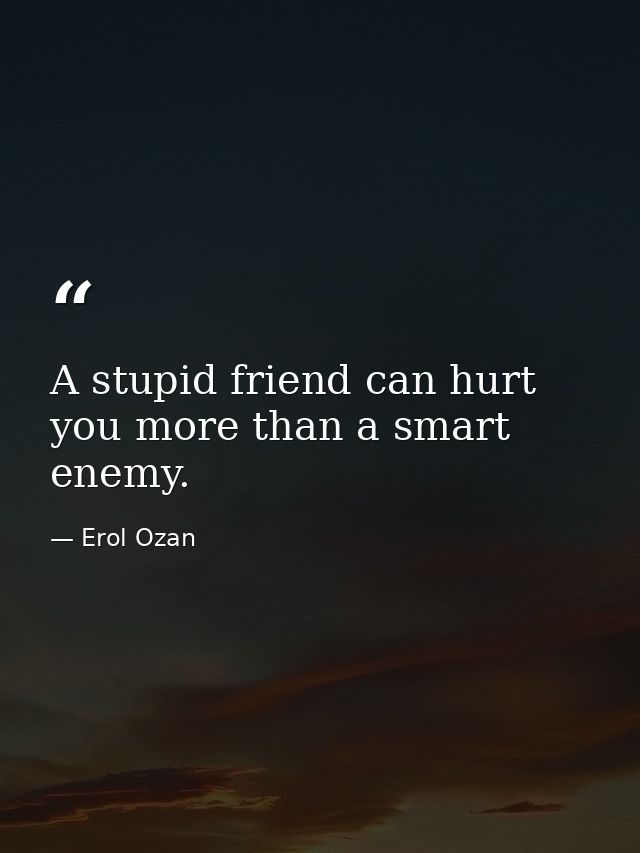 A stupid friend can hurt you more than a smart enemy. — Erol Ozan