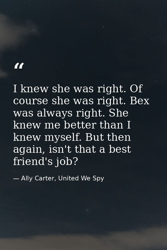 I knew she was right. Of course she was right. Bex was always right. She knew me better than I knew myself. But then aga — Ally Carter, United We Spy