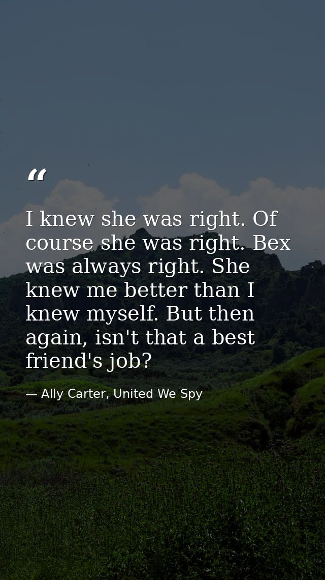 I knew she was right. Of course she was right. Bex was always right. She knew me better than I knew myself. But then aga — Ally Carter, United We Spy