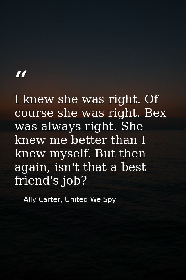 I knew she was right. Of course she was right. Bex was always right. She knew me better than I knew myself. But then aga — Ally Carter, United We Spy
