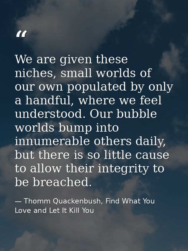 We are given these niches, small worlds of our own populated by only a handful, where we feel understood. Our bubble wor — Thomm Quackenbush, Find What You Love and Let It Kill You