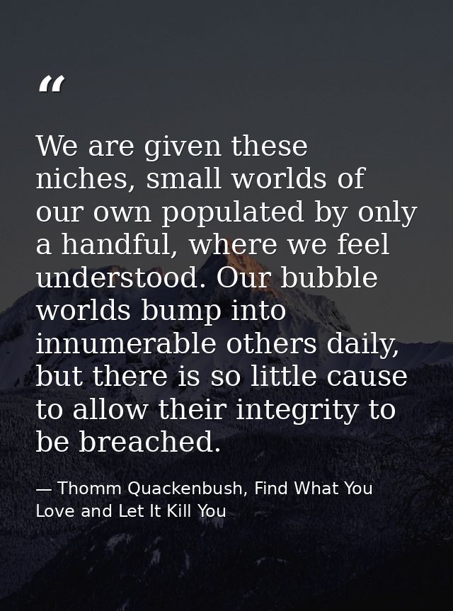 We are given these niches, small worlds of our own populated by only a handful, where we feel understood. Our bubble wor — Thomm Quackenbush, Find What You Love and Let It Kill You