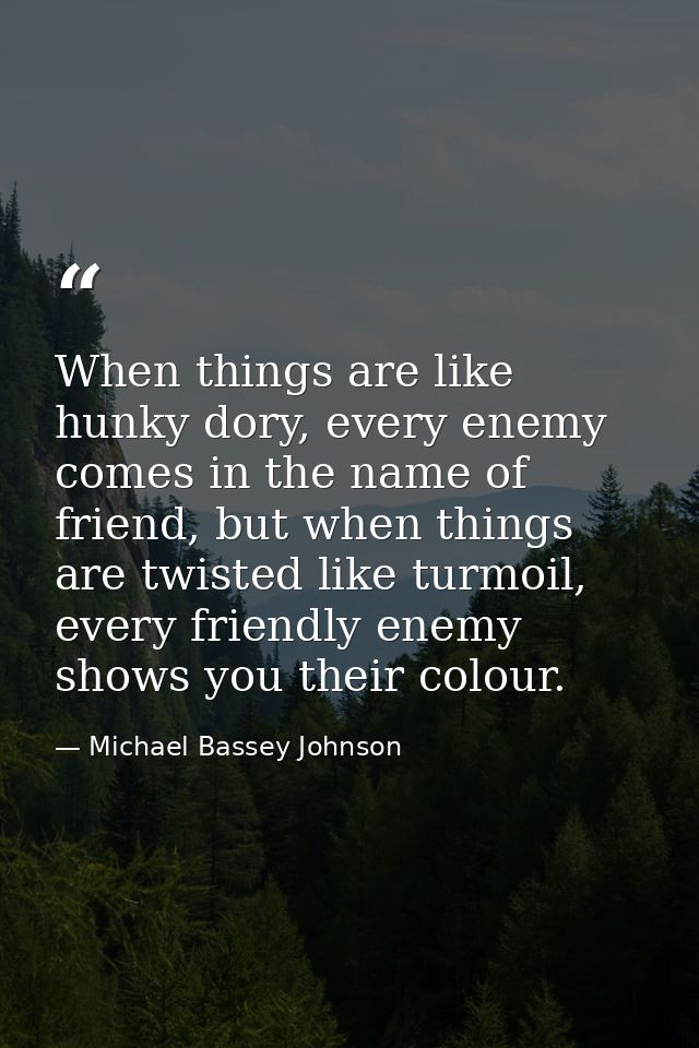 When things are like hunky dory, every enemy comes in the name of friend, but when things are twisted like turmoil, ever — Michael Bassey Johnson