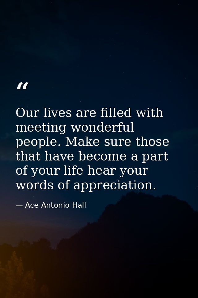 Our lives are filled with meeting wonderful people. Make sure those that have become a part of your life hear your words — Ace Antonio Hall
