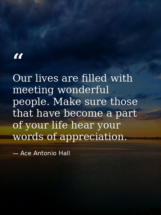 Our lives are filled with meeting wonderful people. Make sure those that have become a part of your life hear your words — Ace Antonio Hall