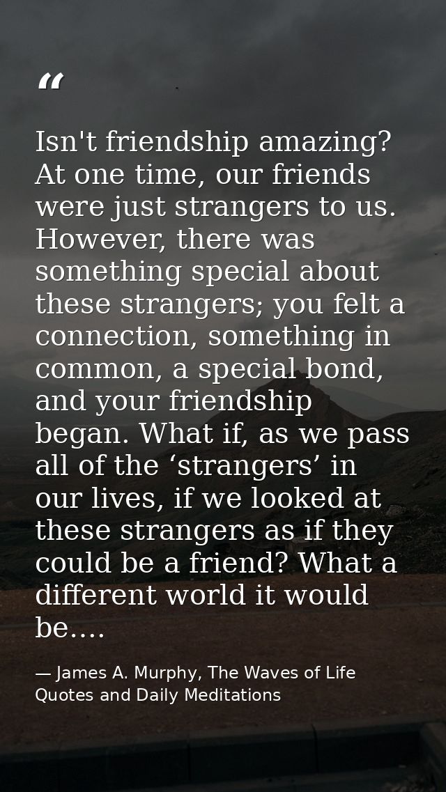 Isn't friendship amazing? At one time, our friends were just strangers to us. However, there was something special about — James A. Murphy, The Waves of Life Quotes and Daily Meditations