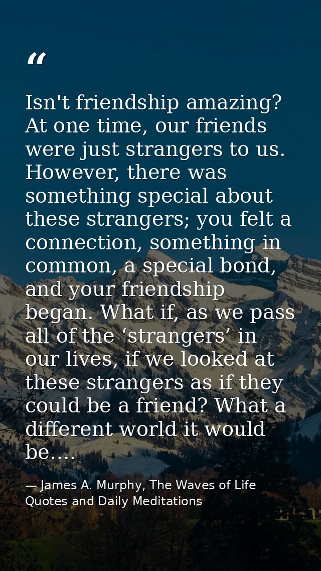 Isn't friendship amazing? At one time, our friends were just strangers to us. However, there was something special about — James A. Murphy, The Waves of Life Quotes and Daily Meditations