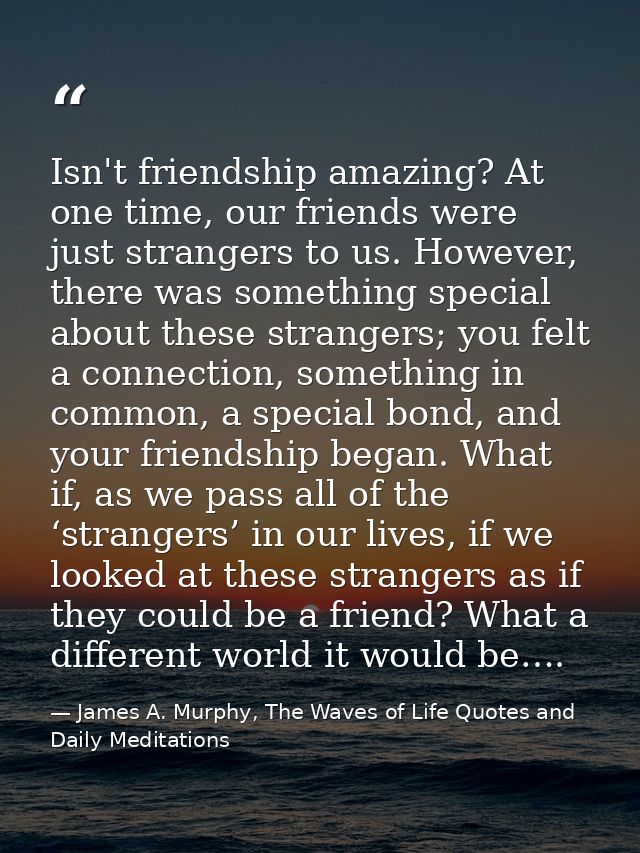 Isn't friendship amazing? At one time, our friends were just strangers to us. However, there was something special about — James A. Murphy, The Waves of Life Quotes and Daily Meditations