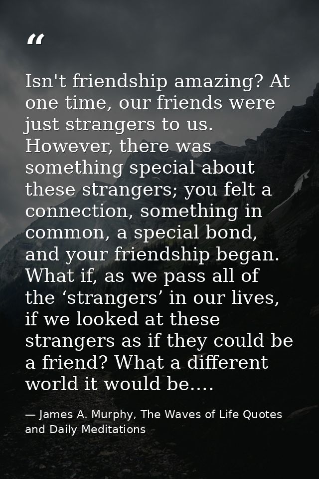 Isn't friendship amazing? At one time, our friends were just strangers to us. However, there was something special about — James A. Murphy, The Waves of Life Quotes and Daily Meditations