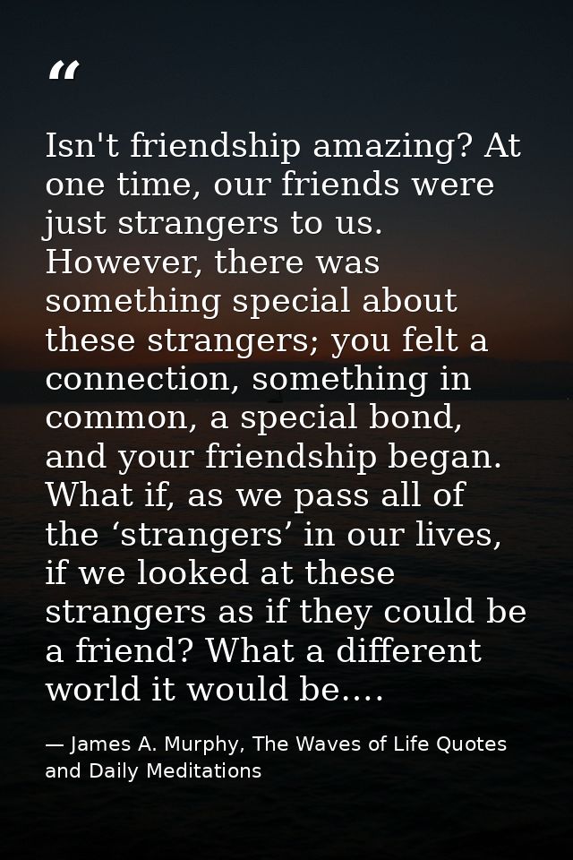 Isn't friendship amazing? At one time, our friends were just strangers to us. However, there was something special about — James A. Murphy, The Waves of Life Quotes and Daily Meditations