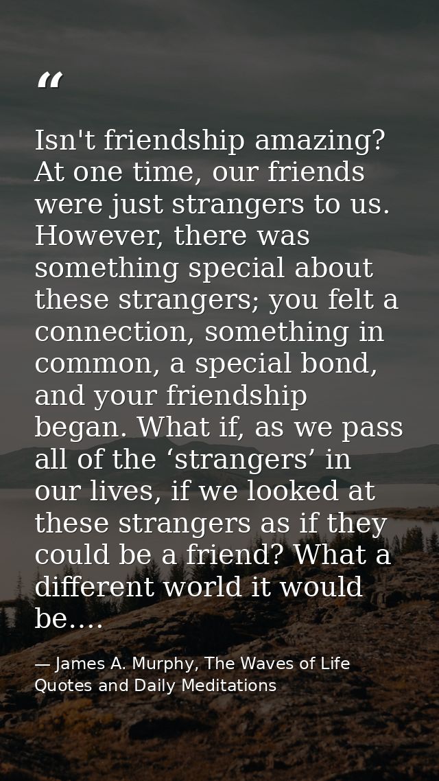 Isn't friendship amazing? At one time, our friends were just strangers to us. However, there was something special about — James A. Murphy, The Waves of Life Quotes and Daily Meditations