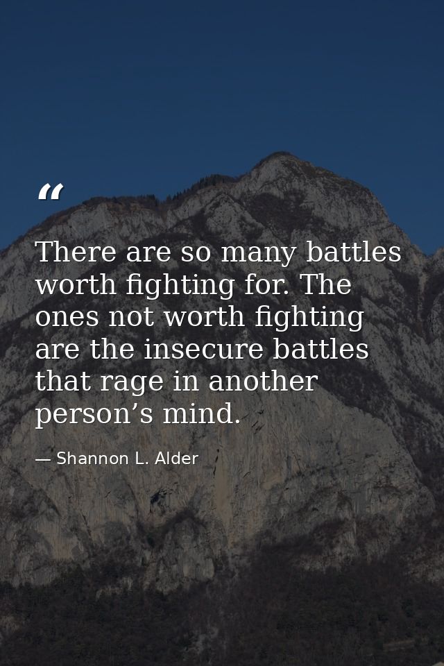 There are so many battles worth fighting for. The ones not worth fighting are the insecure battles that rage in another  — Shannon L. Alder