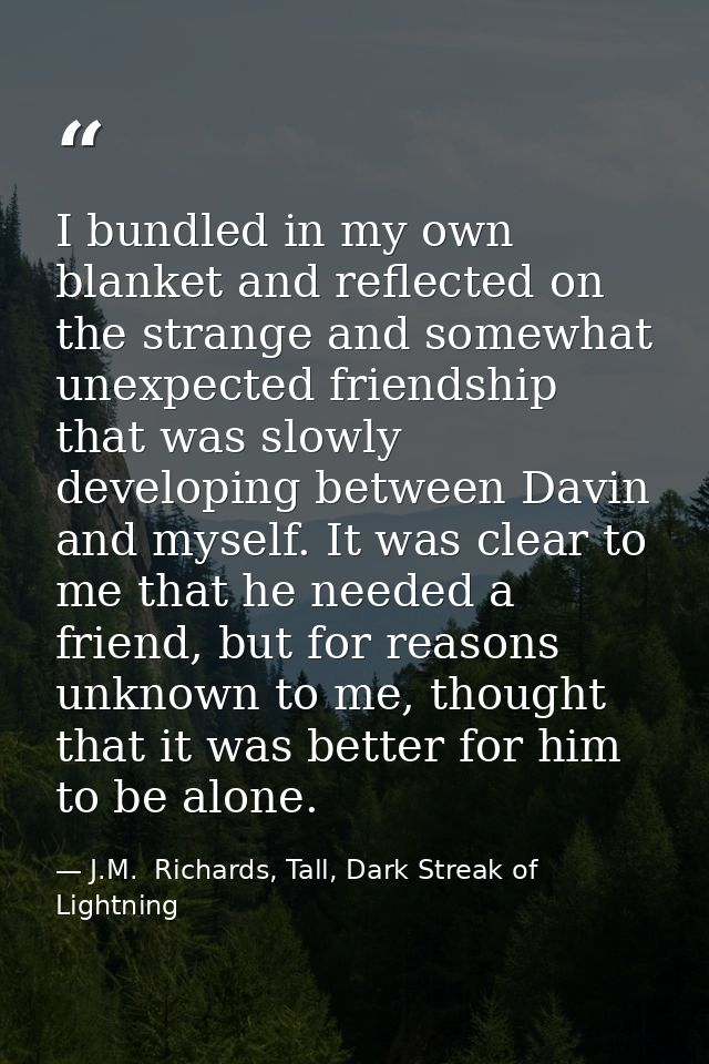 I bundled in my own blanket and reflected on the strange and somewhat unexpected friendship that was slowly developing b — J.M.  Richards, Tall, Dark Streak of Lightning
