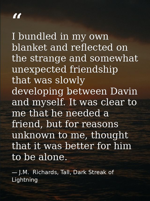 I bundled in my own blanket and reflected on the strange and somewhat unexpected friendship that was slowly developing b — J.M.  Richards, Tall, Dark Streak of Lightning